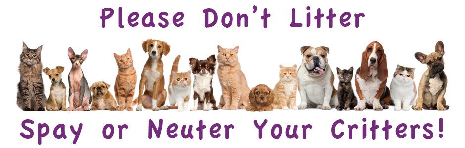 Spay or Neuter graphic